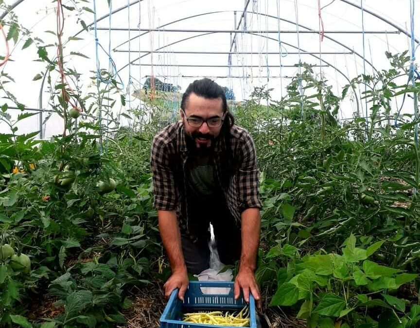 Haricots beurre à l’ancienne