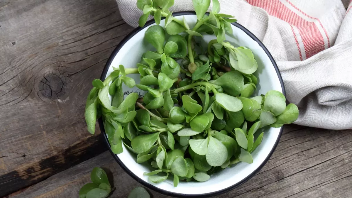 Salade grecque