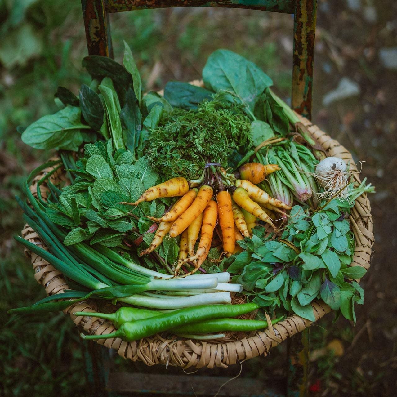 Paniers bio en Belgique